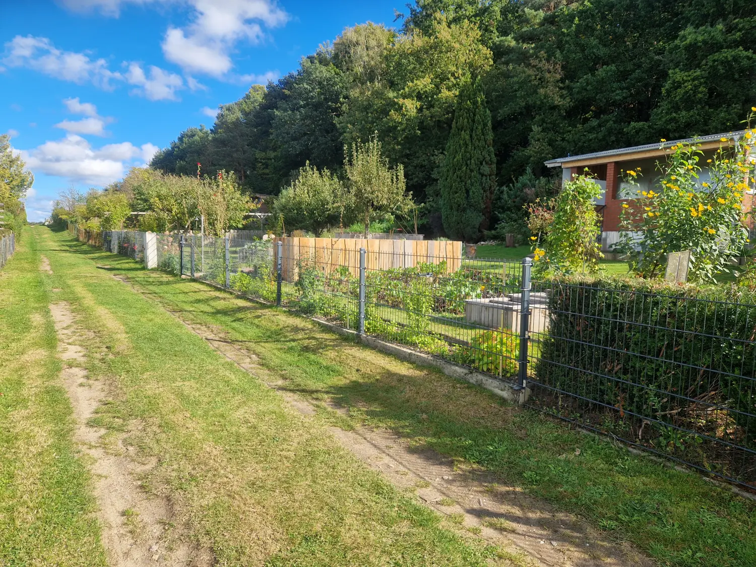 Garten des KGV Waldeck e.V. Wolgast 